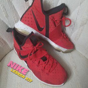Nike Lebron XIV 14 Basketball Shoes